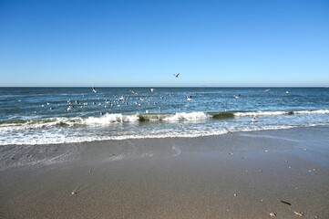 Beach in Wenningstedt Sylt with Flying seagulls 