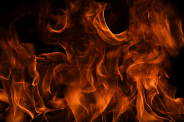 Flame fires. Burn lights on a black background. Fire flames on black background. Abstract fire...