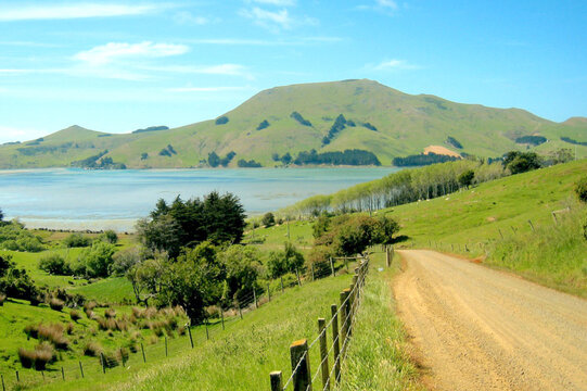 Papanui Inlet, Dunedin, New Zealand.jpg