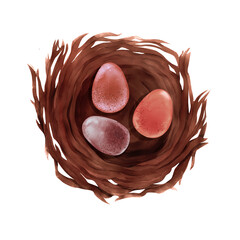Hand drawn watercolor bird nest with pastel eggs isolated at white background. Easter card design.