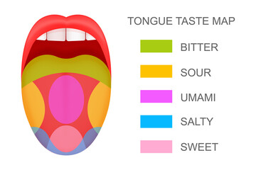 Tongue with taste receptors map sticking out from open mouth. Five flavor zones. Pseudoscientific theory of human taste buds. Vector cartoon illustration.
