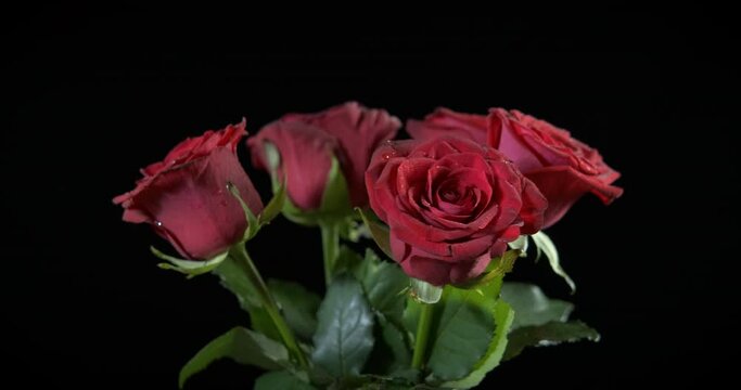 Romantic day with vase flowers. A view of romantic red bouquet of roses in the glass on the black background.
