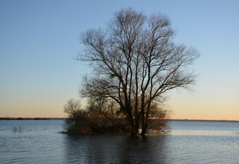 Bouaye - Lac de Grand-Lieu
