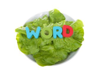 Large green leaves of lettuce in a white porcelain bowl with the word WORD on top. Pictorial...