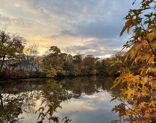 autumn in the park