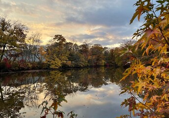 autumn in the park
