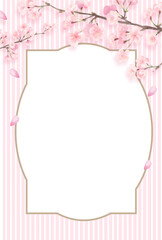 桜　枠