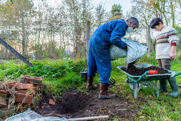 man and a boy work to plant a magnolia tree