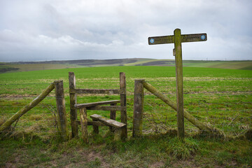 South Downs Way fingerpost next to a footpath stile crossing a fence into a grass meadow under an...