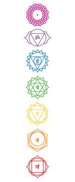 Rainbow colored chakra symbols. Multicolored main chakras, how they are located in the body. Root, sacral, navel, heart, throat, third eye and crown chakra. Isolated illustration, on white background.