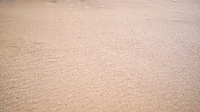Beach sand texture Wavy sand on the beach Sand texture background