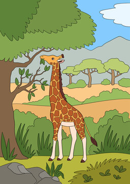 Cartoon wild animals. Big giraffe with long neck stands and eats leaves.