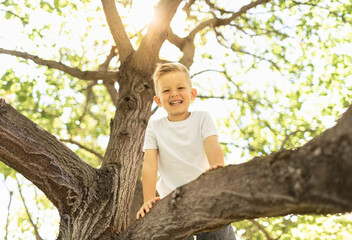 Happy smiling little boy climbing playing in a tree 