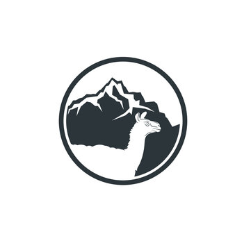 illustration off ilama and andes mountain