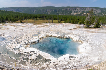 Artemisia Geyser in Yellowstone National Park
