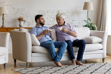 Serious older grey-haired man his grown up 35s sit on sofa holding cups drink tea or coffee talking, share news, communicating together on weekend at modern home. Care, family ties, support concept
