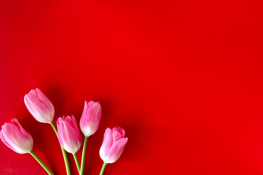 待ち受け画像 Images Browse 435 Stock Photos Vectors And Video Adobe Stock