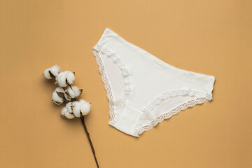 White women's panties and a sprig of cotton on a beige pastel background. Women's underwear.