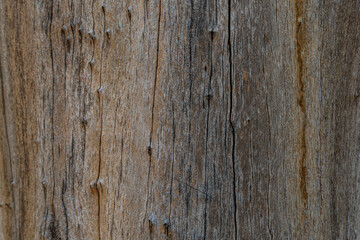 old wood texture