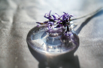 A drop of cosmetic gel with lavender flower on a beige background.