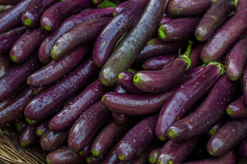 Green purple eggplant vegetables at the market. Close-up views of farm-fresh purple eggplant vegetables.