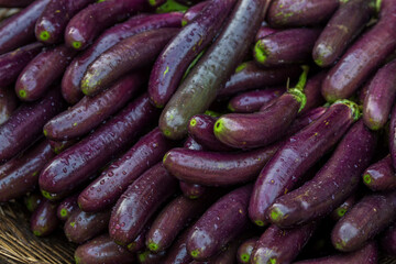 Green purple eggplant vegetables at the market. Close-up views of farm-fresh purple eggplant...