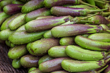 Green purple eggplant vegetables at the market. Close-up views of farm-fresh purple eggplant vegetables.