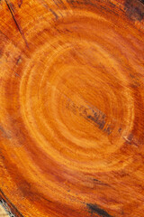 Large irregular tree cut in a circular circle pattern on wood texture background. The texture of colored wood logs cut. Wood storage for the industry. Abstract Background.