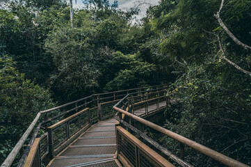 Obraz premium wooden bridge in the forest