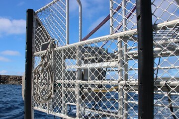 Fototapeta premium Shark diving cage near the Neptune Islands, Spencer Gulf, South Australia.