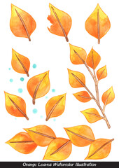 Autumn orange leaves watercolor illustration set for decoration on Autumn garden.