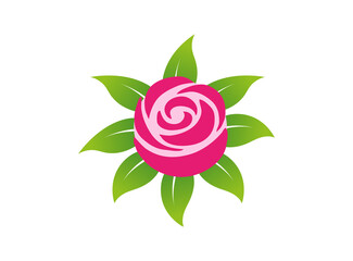 rose logo vector image design