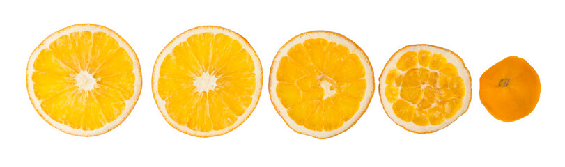 close-up, round pieces of dried orange cut in different sizes, on a white background