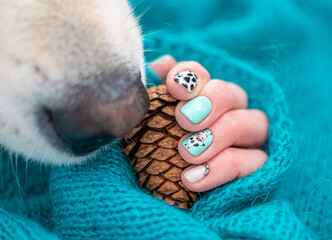 Manicure closeup and dog sniffing a cone. Mint green gel polish, cow fur pattern, creative and fun nail design idea. Selective focus on the details, blurred background.