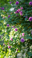 The beautiful flowers blooming in the gardern in spring