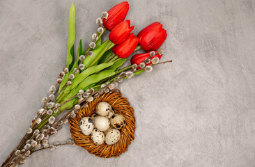 Easter decoration with the space for text. A bunch of five red tulips and willow branches, Small quail eggs in the brown twig nest . Easter decoration on the grey concrete background.