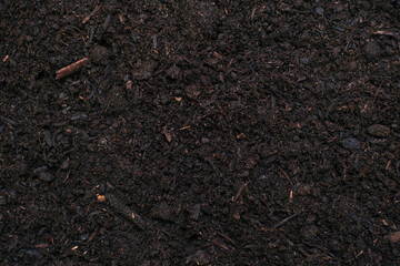 Black chernozem soil close-up, texture and natural background.