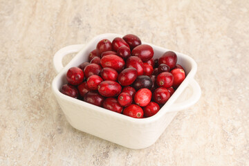 Ripe sweet tasty cranberry in the bowl