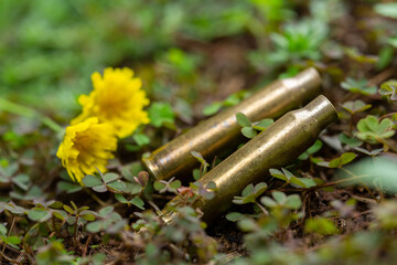 Bullet casings and crushed yellow wild flowers. The front shell is in selective focus. Long-barreled gun cartridge cases on fresh grass. War and peace concept.