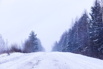 The forest is covered with snow. Frost and snowfall in the park. Winter snowy frosty landscape.