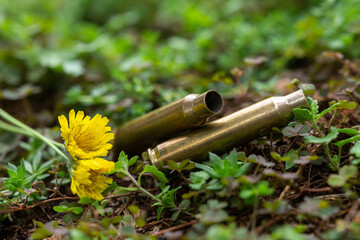 Selective focus of bullet casings and crushed yellow wild flowers. Long-barreled gun cartridge cases on fresh grass. War and peace concept.