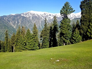 Fototapeta na wymiar Natural beautiful green scenery photography of highest peaks in kaghan during the month of July 2021