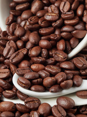 roasted coffee beans, can be used as a background