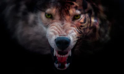Zelfklevend Fotobehang Half tiger and wolf portrait collage © elen31
