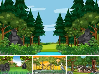 Four scenes with wild animals in the forest © blueringmedia