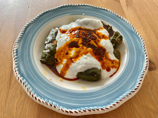 Turkish Dolma with Yogurt Sauce. Homemade Stuffed Grape leaves.