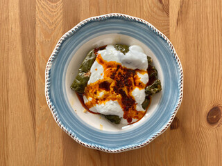 Turkish Dolma with Yogurt Sauce. Homemade Stuffed Grape leaves.
