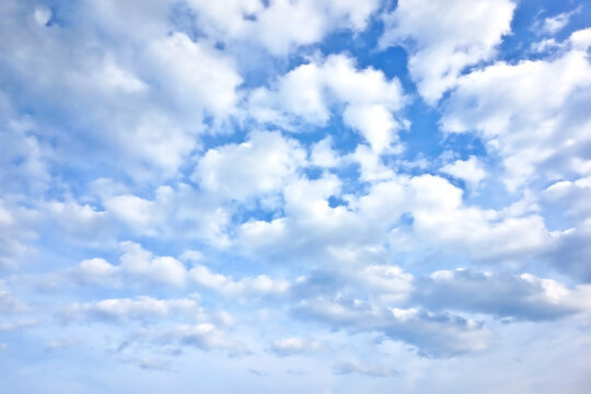綿雲の群れが青空を覆う