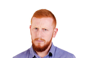 Red haired man with beard isolated on a white background. High quality photo