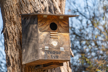 Large birdhouse on a tree in the park.